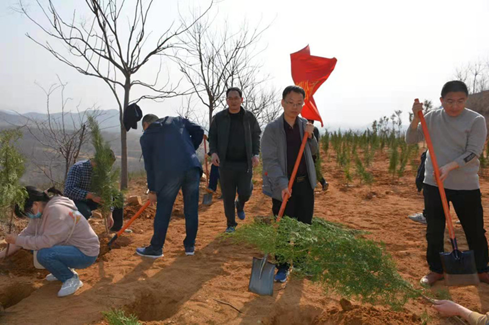 文博中心項(xiàng)目部臨時黨支部開展義務(wù)植樹主題黨日活動